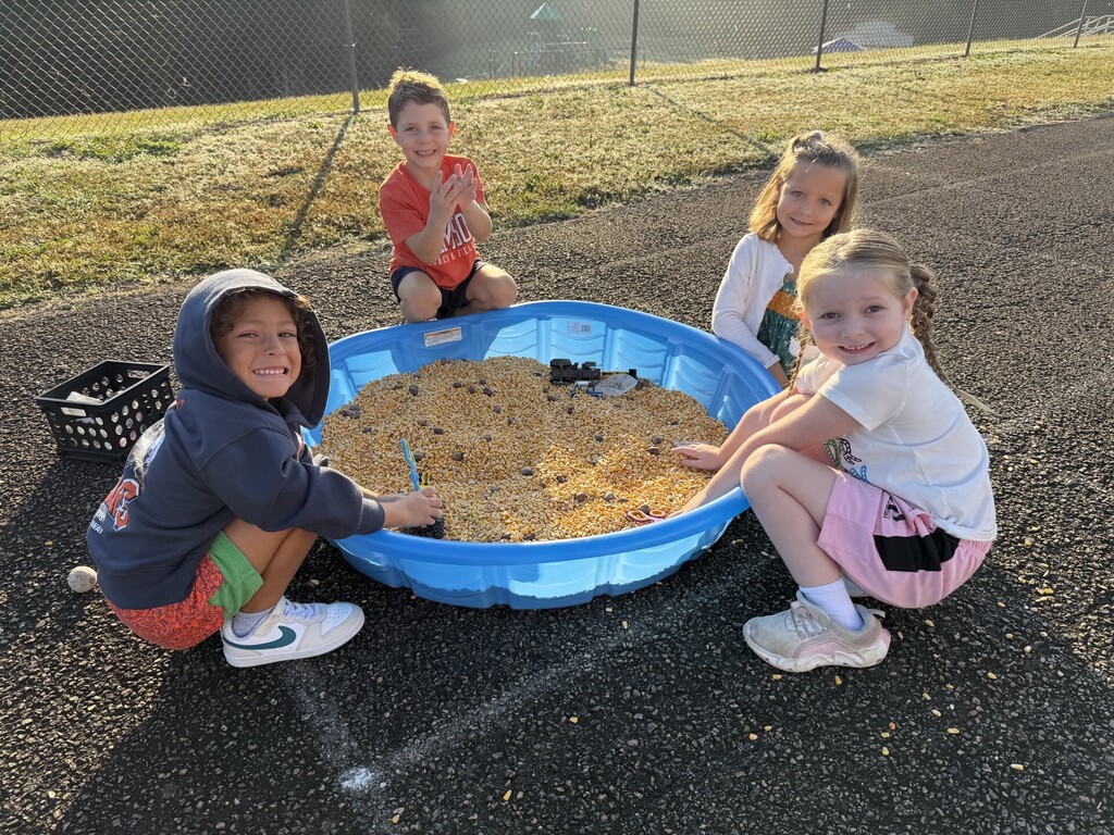 Students playing in the corn sensory bin.