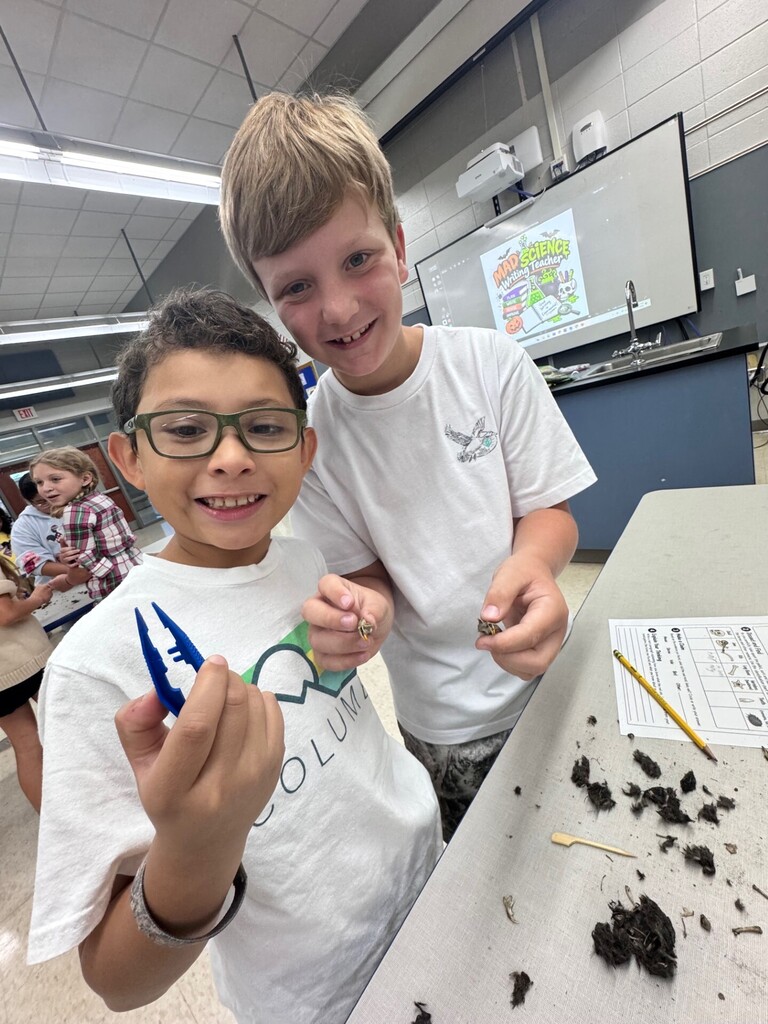 Owl Pellet discoversity by third grade students.