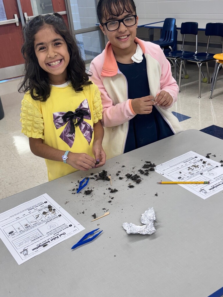 3rd grade owl pellet investigations.