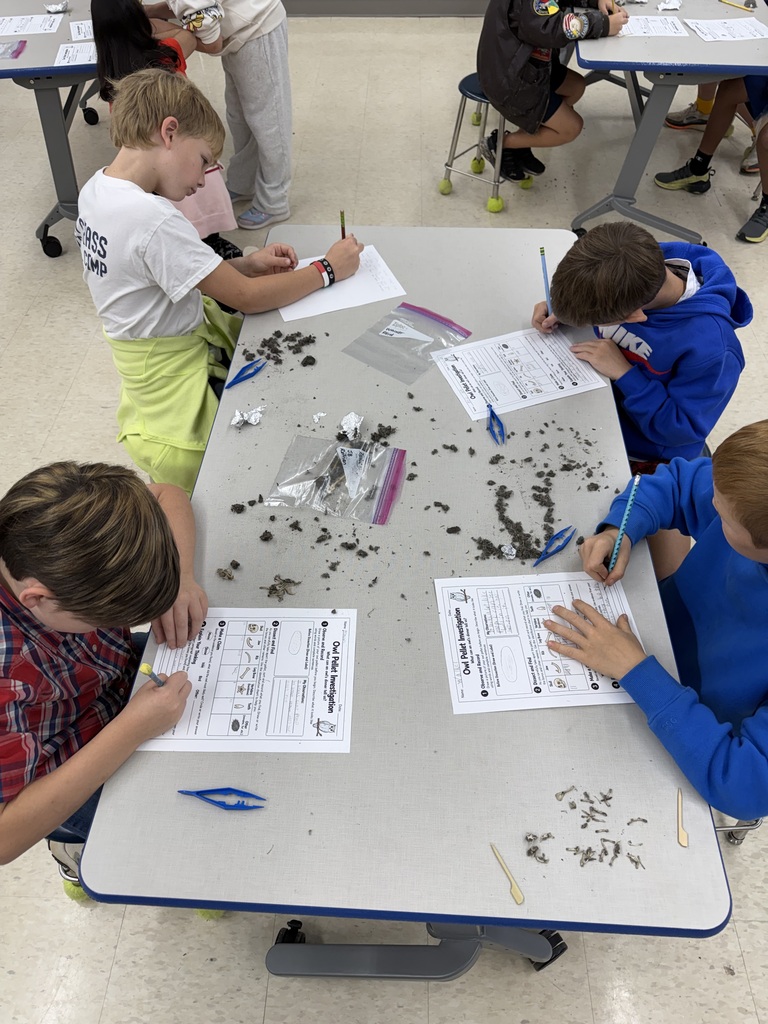 Third grade students writing observations from their owl pellet.