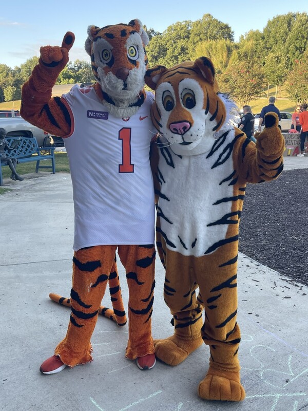 The Tiger and Stripes at Walk and Roll