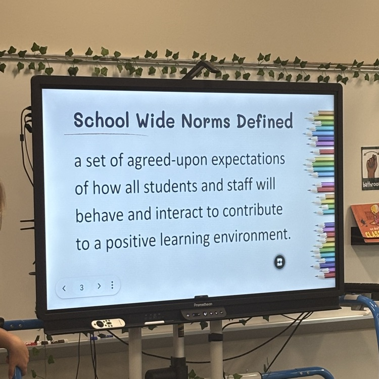 school wide norms defined