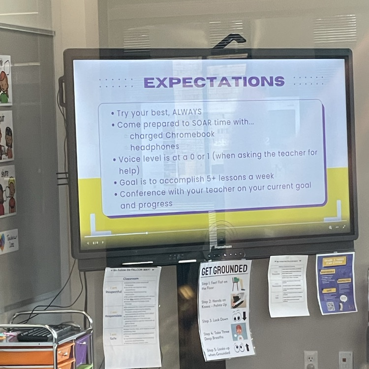 expectations