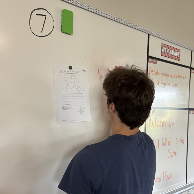 making learning visable 