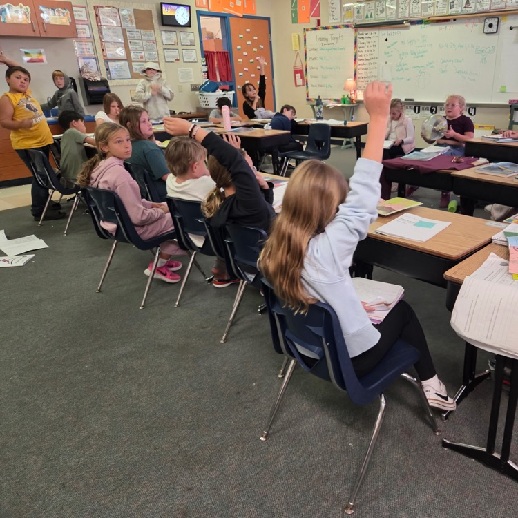 students raising their hands 