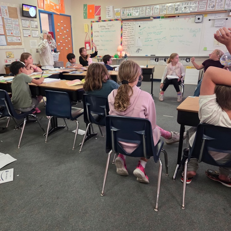 students raising their hands 