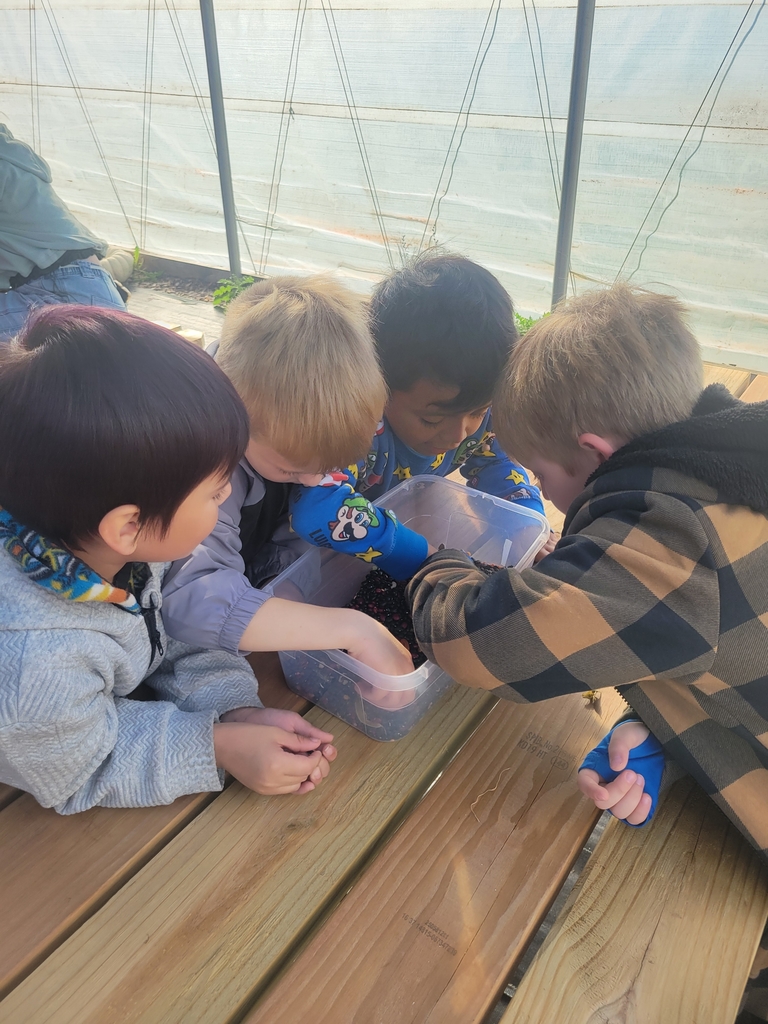 Looking at different seeds