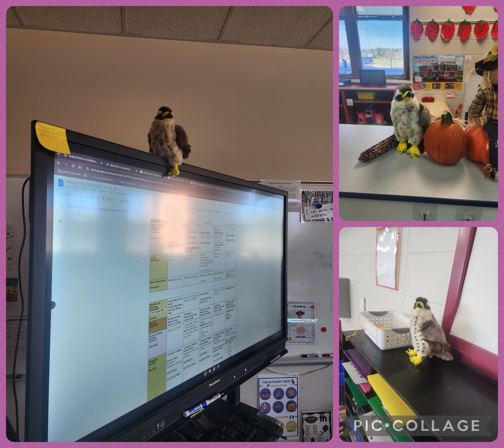 Did you know? Students of the Month at SFES get to have a Falcon Mascot partner with them in their homeroom for the month! It is fun to see where the falcon is placed in homerooms to watch students follow expected behaviors! So far the falcons have visited 11 classrooms!!