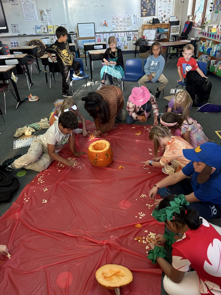 first graders counting pumpkin seeds