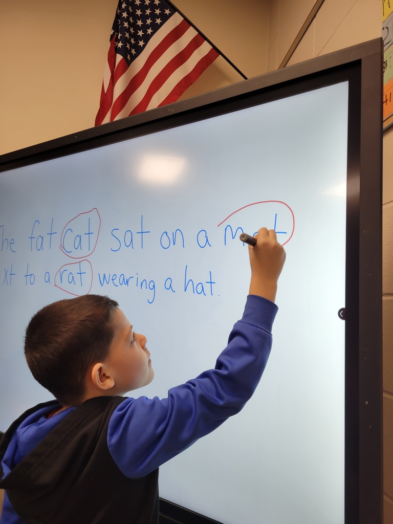 Finding and sorting words into word families! 