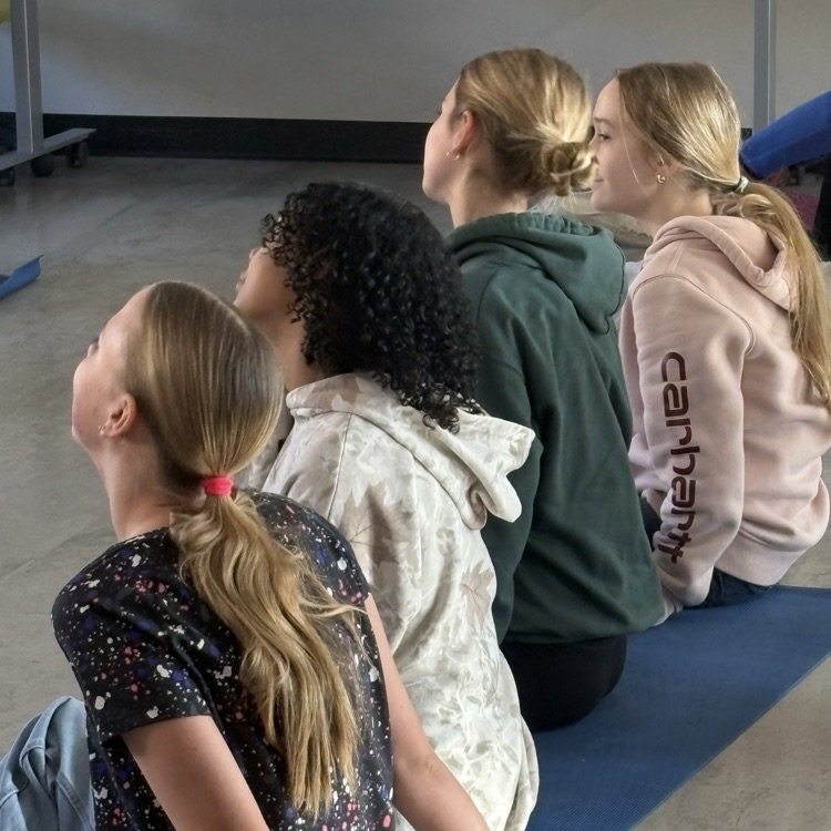 stress management lesson