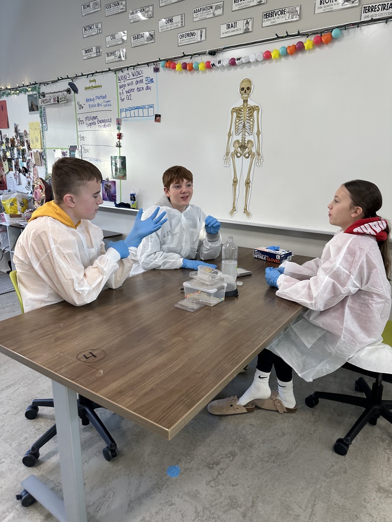 Images show students conducting experiments that show them how Biological Therapies are created. 