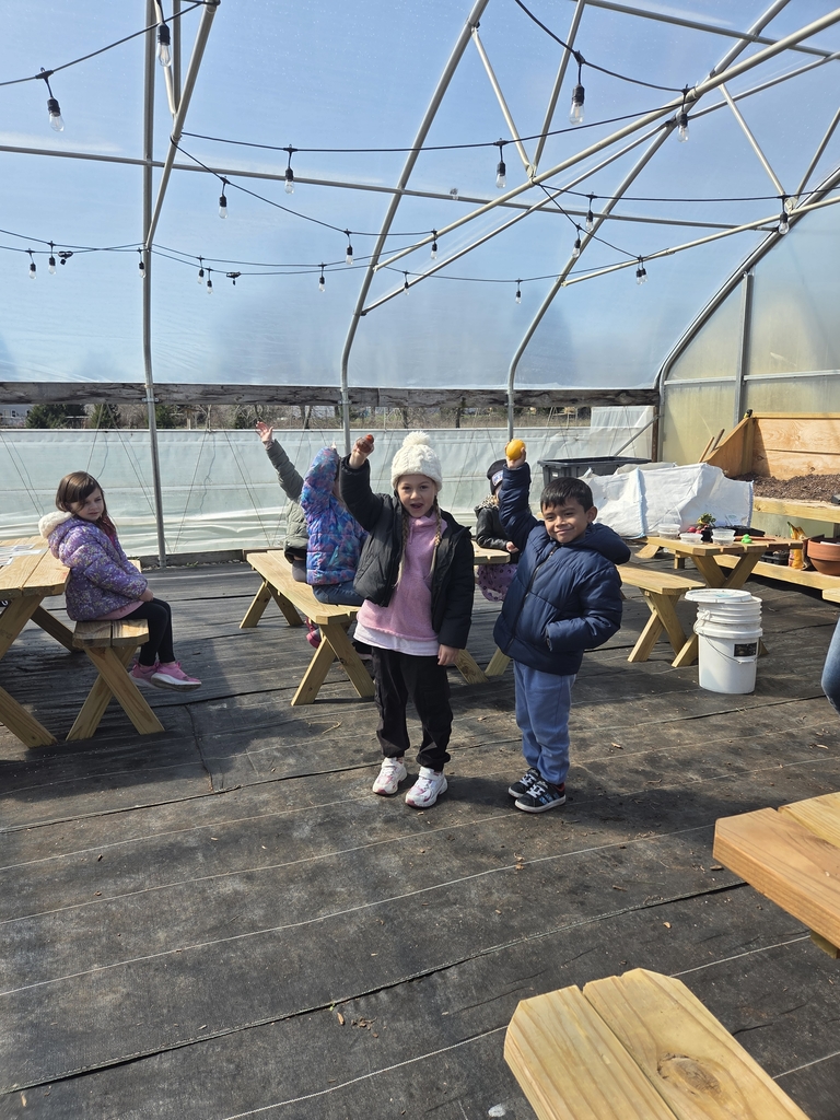 Learning about plant needs at Nourish 