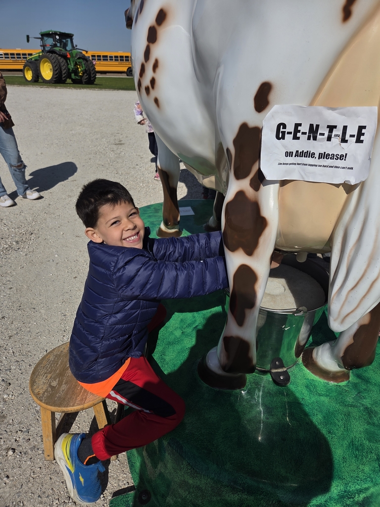 Practicing milking a cow