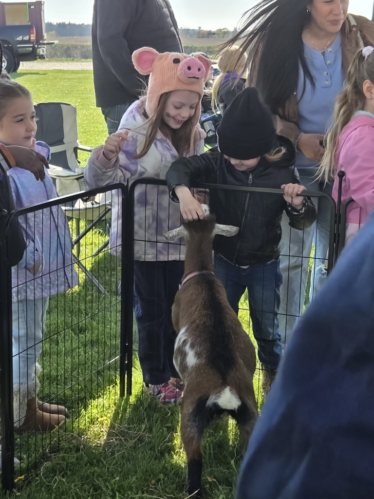 Petting 