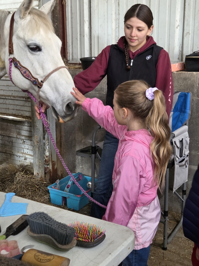 Met Harley the horse