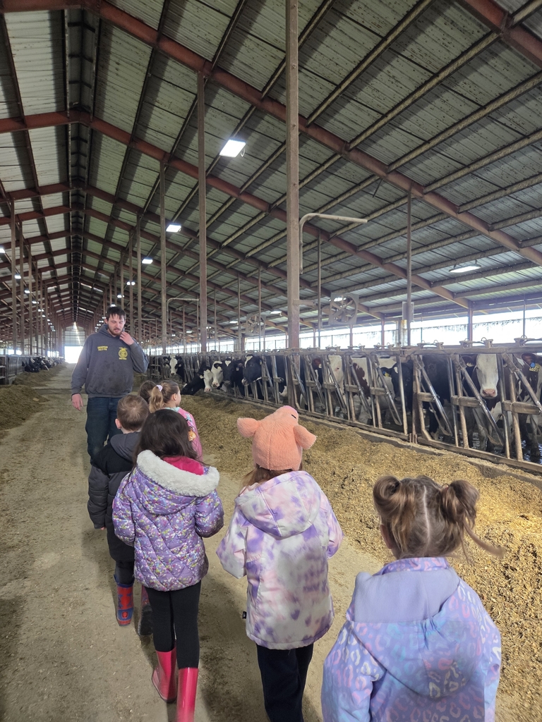 Seeing all the cows!