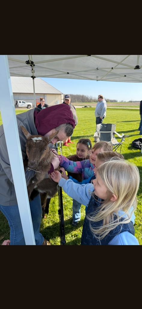 Meeting goats!