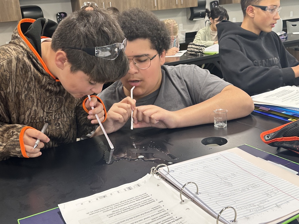 Students completing a lab 