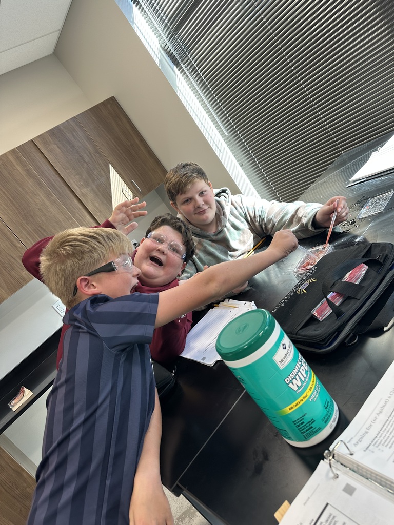 Students are working on testing to prove their claims.