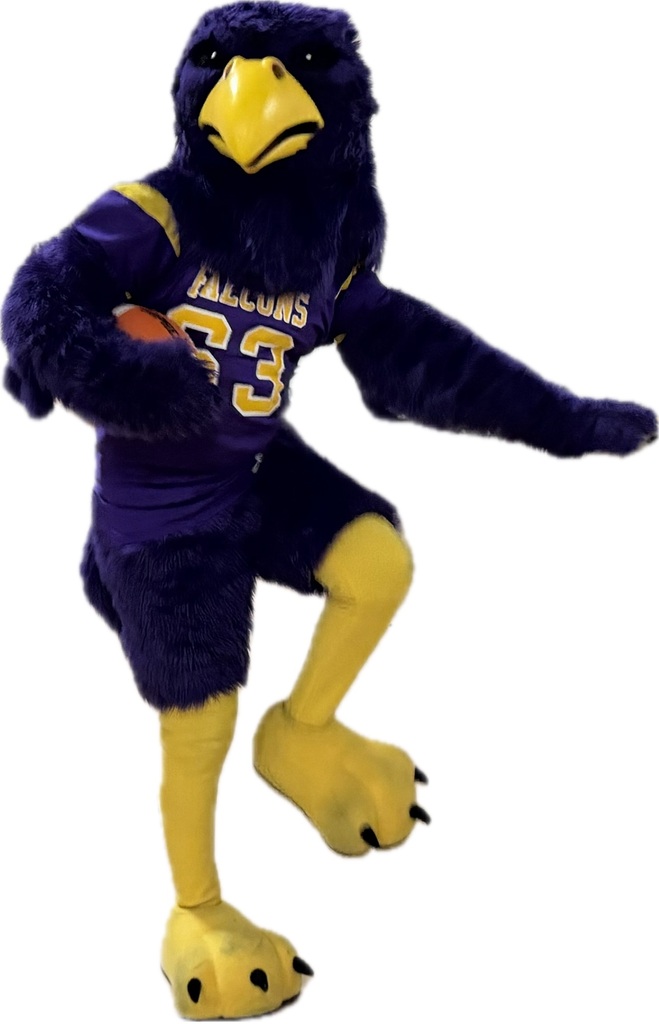 Big thanks to Freddy the Falcon for visiting SFES at our first Assembly of the year on 9/30!! Thanks to all of the families who came to support and surprise their Students of the month for September too!