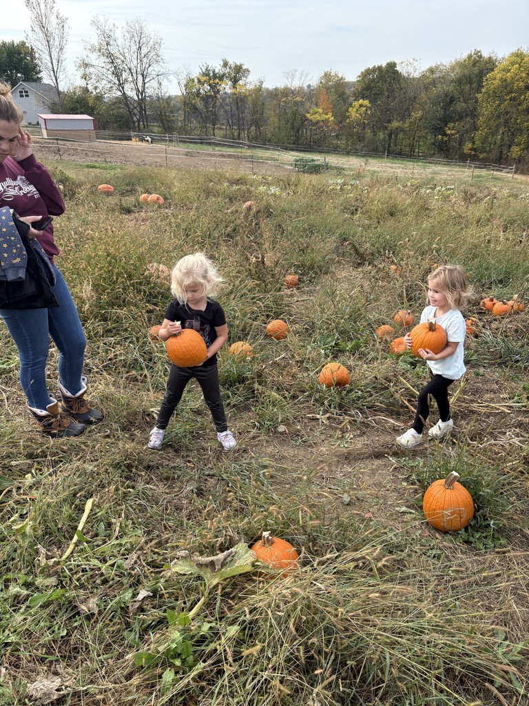 Pumpkin Patch