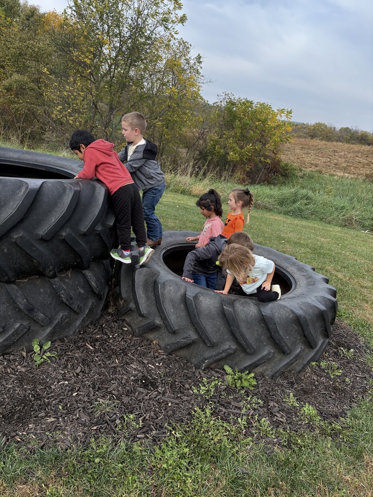 Pumpkin Patch