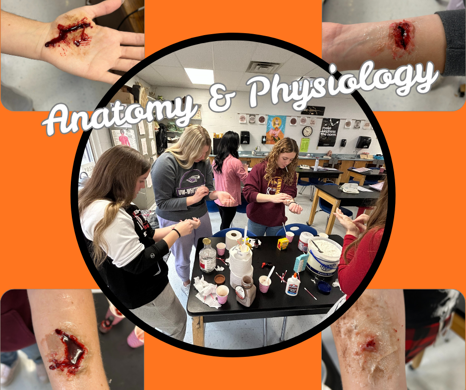 Anatomy and Physiology