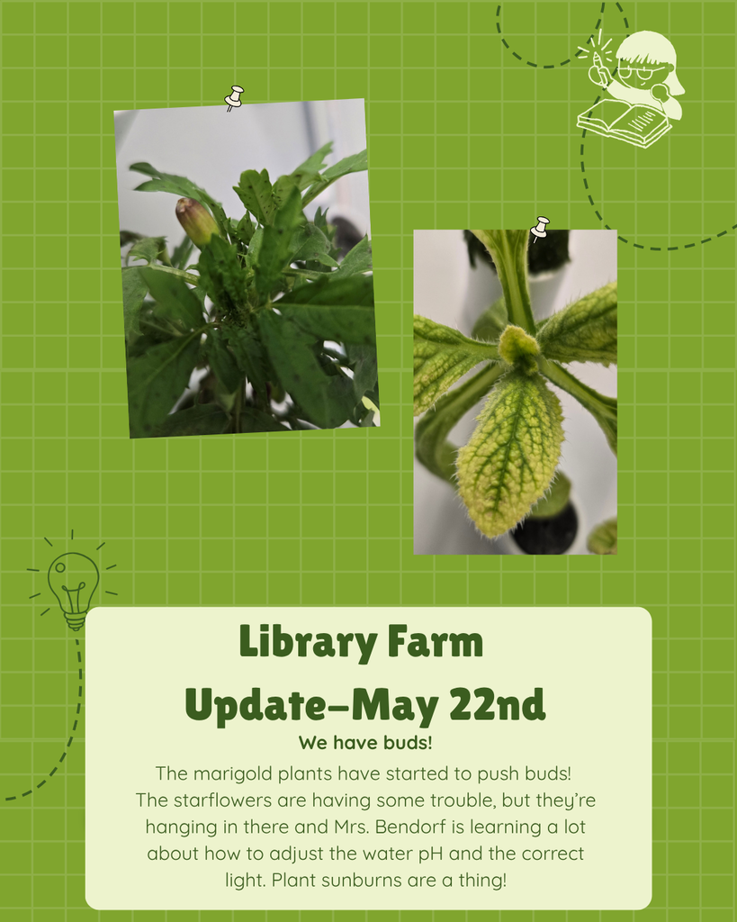 Library Farm 2