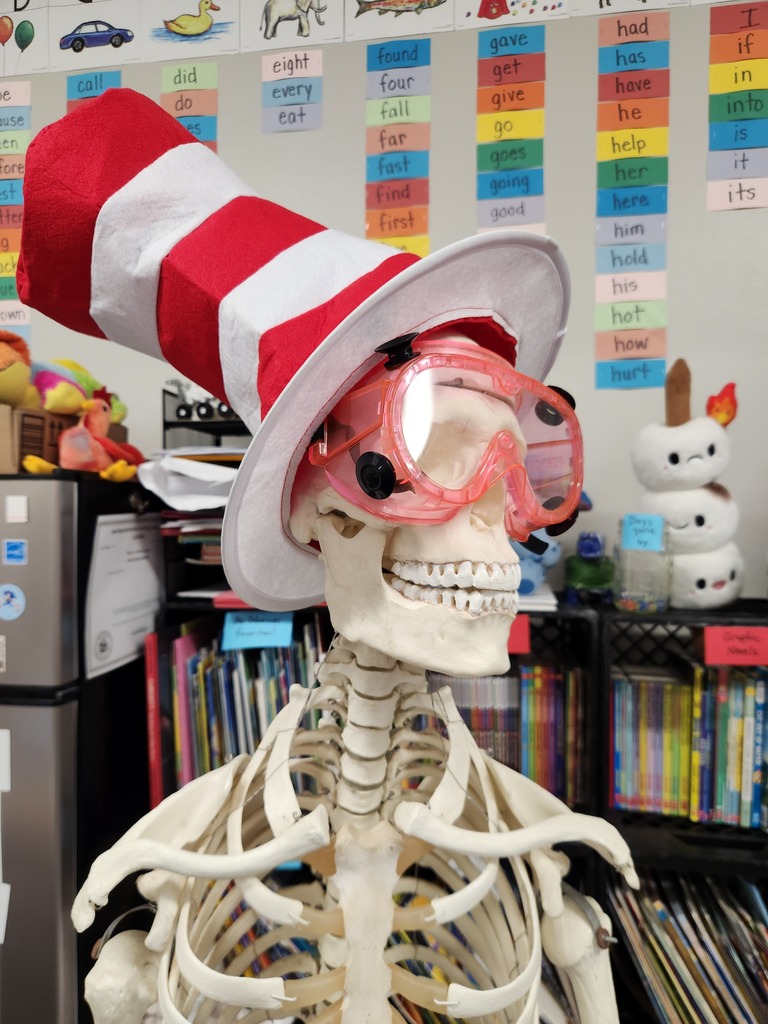 A skeleton wearing a red and white striped Cat in the Hat hat and goggles stands in a room with shelves of books and toys.