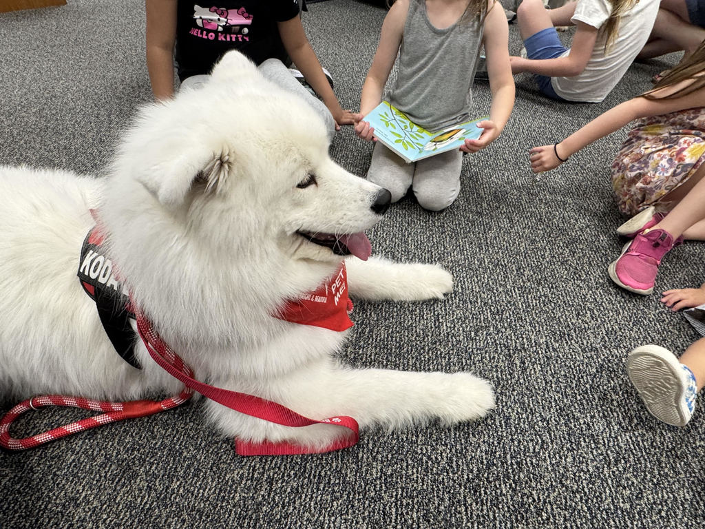 Koda 
