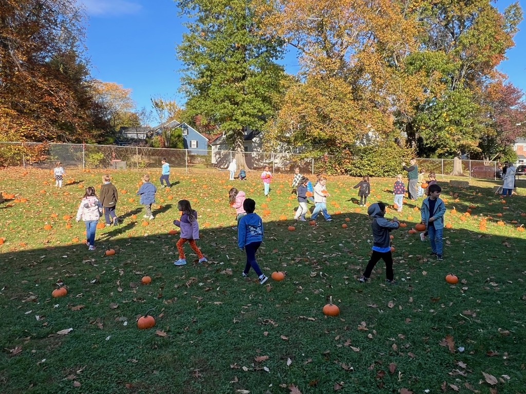 Pumpkin Fun Day 2
