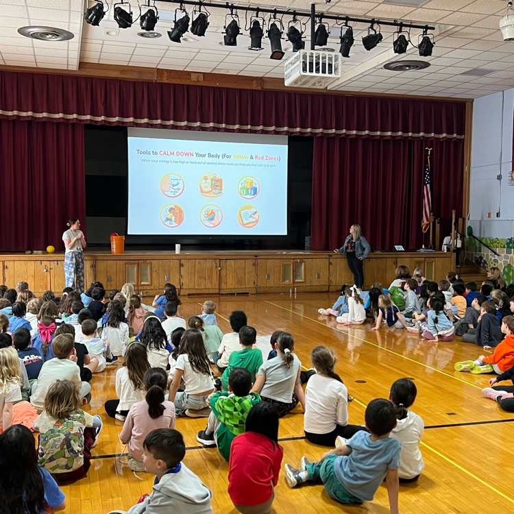 WAS Zones of Regulation 