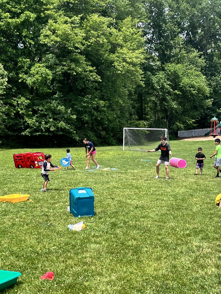 Fun in  the Sun