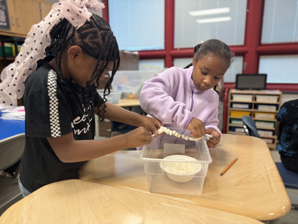Students working on a STEM project by creating a bridge