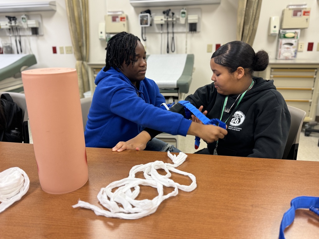 Students and adults participating in interactive activities at York College of Pennsylvania