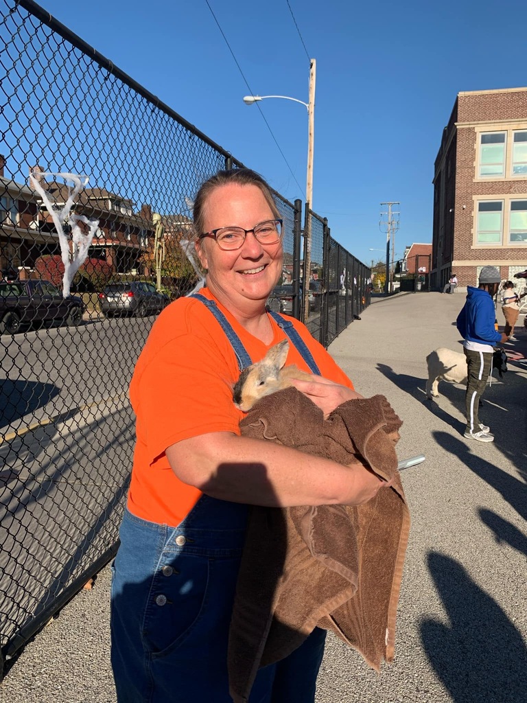 Students and families having fun at their trunk or treat event outside