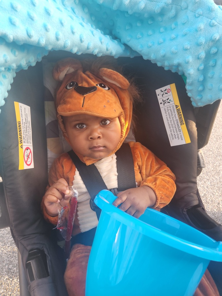 Trunk or Treat Pic