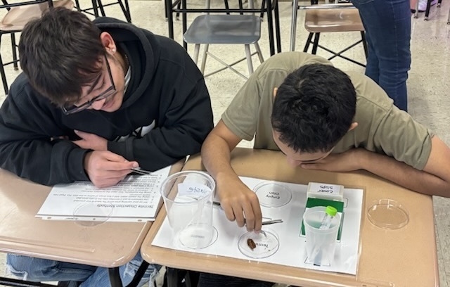 PSU of York & Horticulture