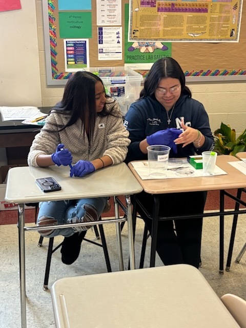 PSU of York & Horticulture