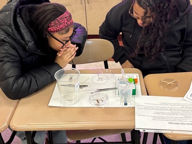 PSU of York & Horticulture