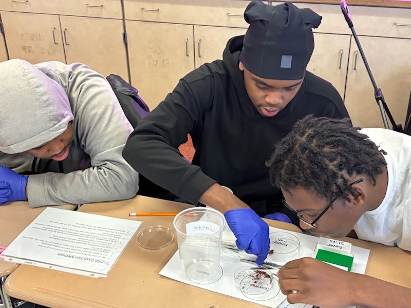 PSU of York & Horticulture