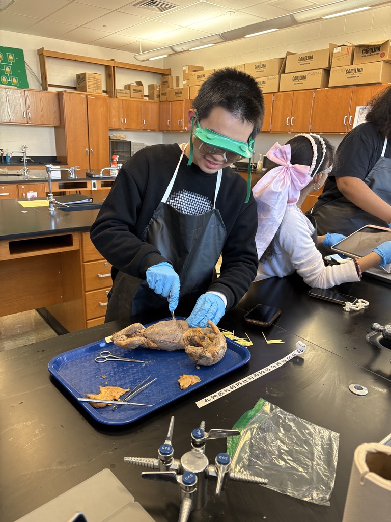 Student working on a project