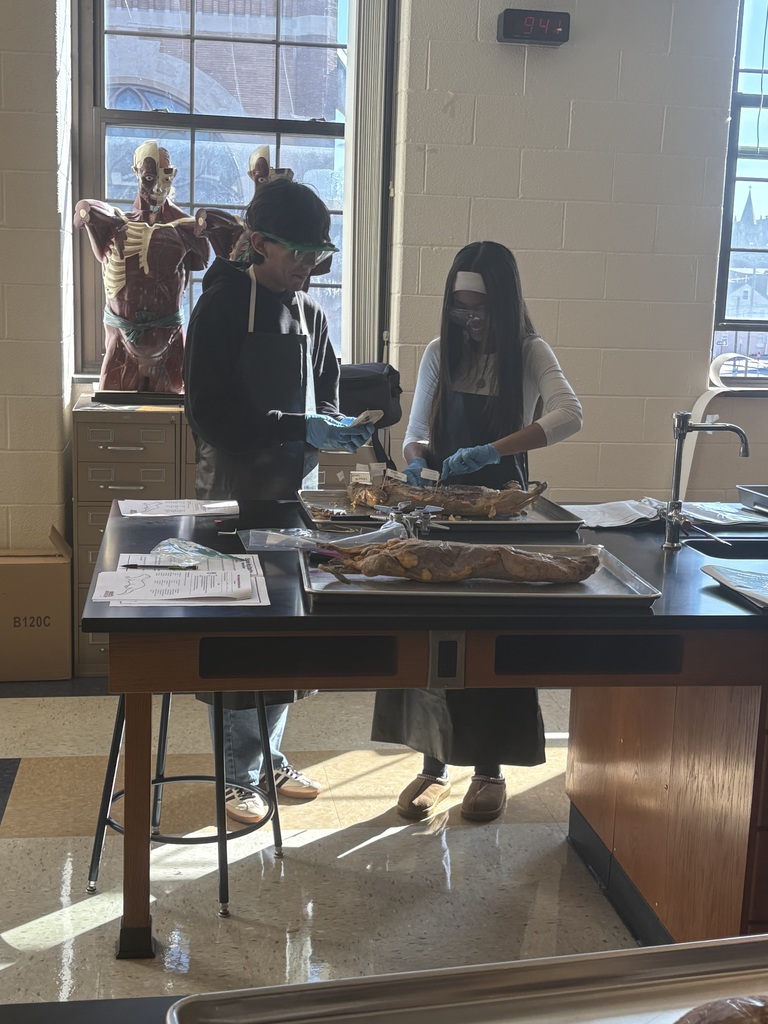 Two students working on a project