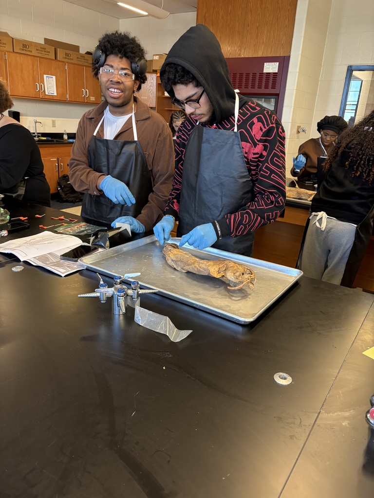 Two students working on a project