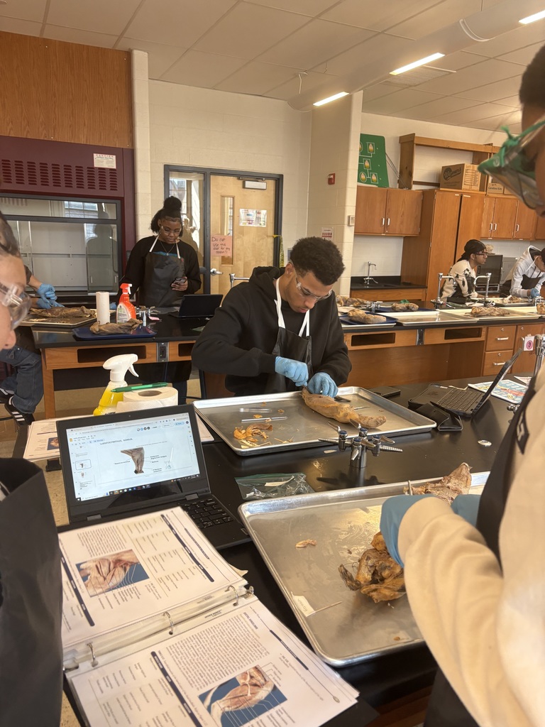 Student working on a project