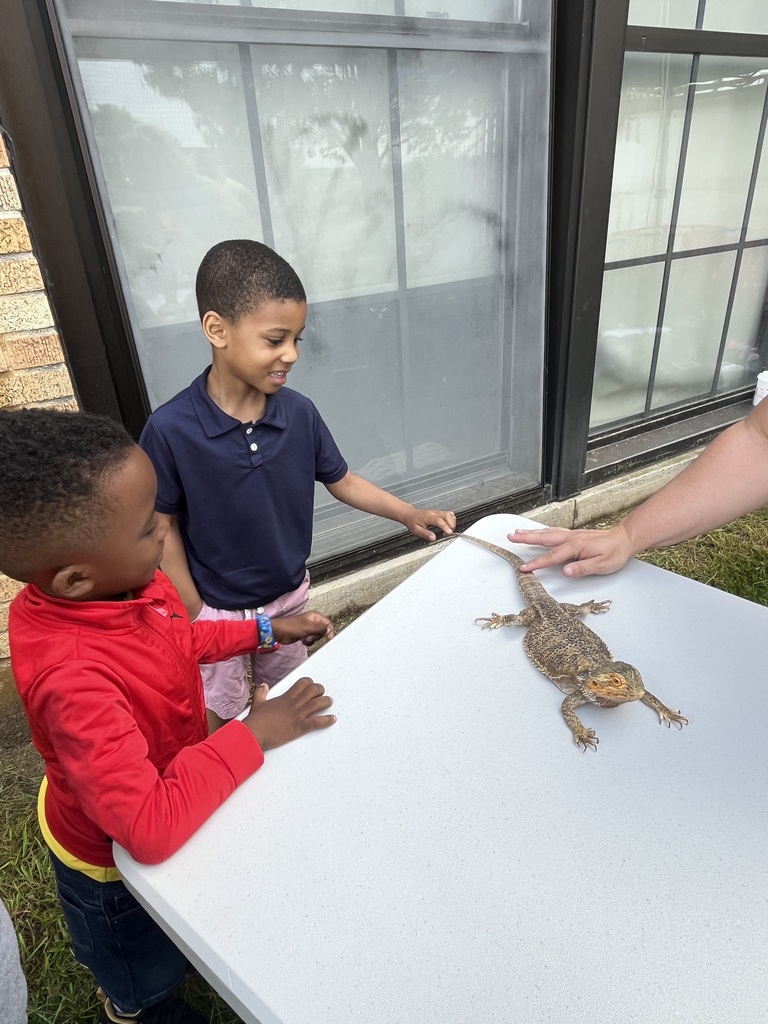 Students experiencing a petting zoo