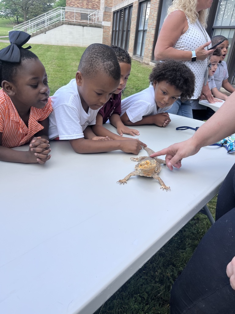 Students experiencing a petting zoo