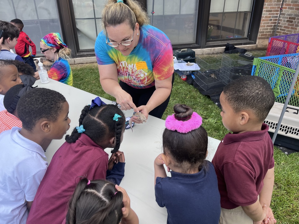 Students experiencing a petting zoo