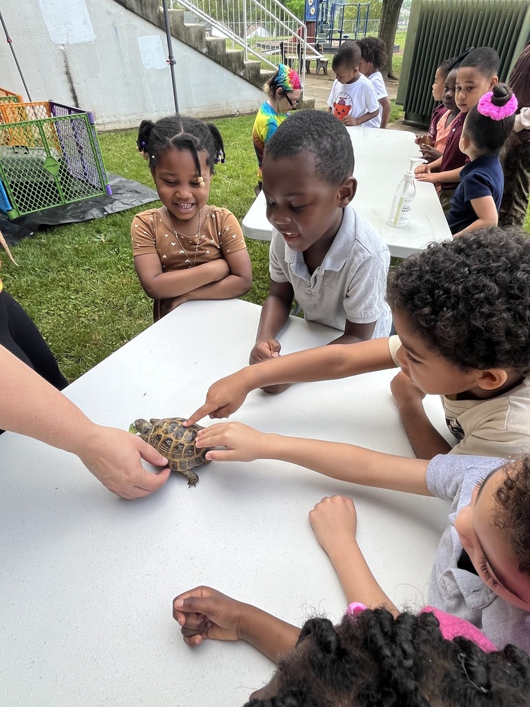 Students experiencing a petting zoo